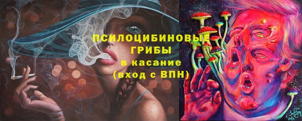 СК Аркадак