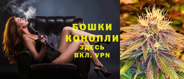 СК Аркадак