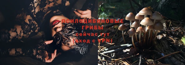 первитин Армянск