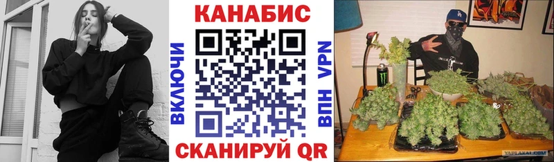 Купить где  Короча  Бошки Шишки гибрид 